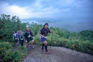 BIB: 
                            <button type="button" onclick="openModal(24813229)" class="btn btn-primary btn-sm float-right btn-popup" data-toggle="modal" data-target=".modal-high-quality">
                        <i class="fas fa-shopping-cart"></i> Add to Cart
                    </button>
                                            <button type="button" onclick="isThisMe(24813229, true)" class="btn btn-success btn-sm float-right btn-popup btn-isme hidden" data-toggle="tooltip" data-placement="bottom" title="นี่คือรูปของคุณใช่ไหม คลิกที่นี่เพื่อเอาเข้าอัลบั้ม">
                        <i class="fas fa-plus"></i> Add to album
                    </button>
                    <button type="button" onclick="isThisMe(24813229, false)" class="btn btn-warning btn-sm float-right btn-popup btn-isnotme hidden">
                        <i class="fas fa-ban"></i> Remove from album
                    </button>